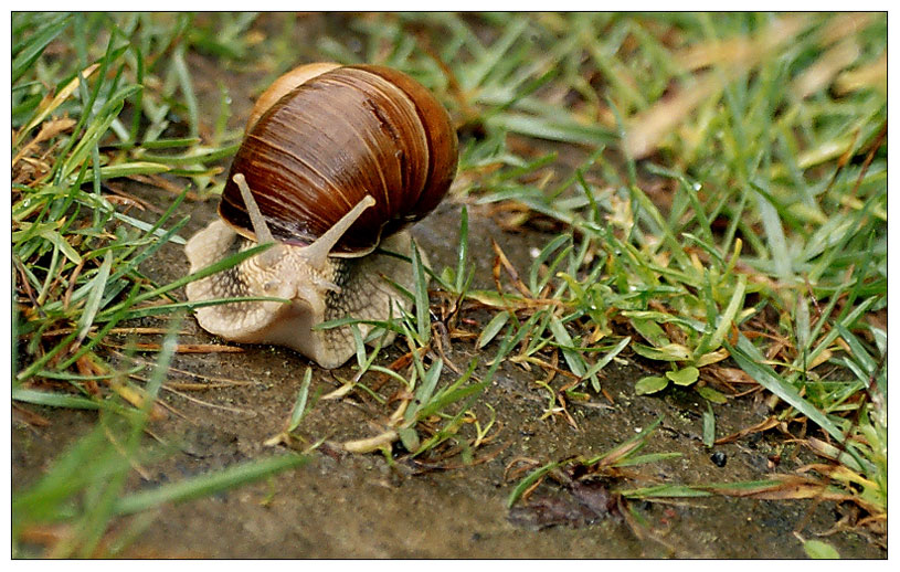 photo "OFF ROAD" tags: nature, 