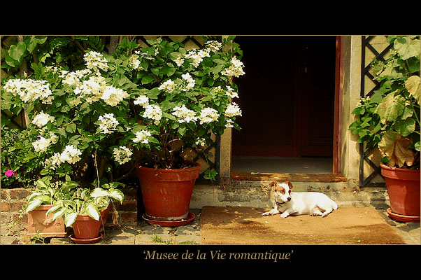photo "Musee de le Vie romantique" tags: travel, nature, Europe, pets/farm animals