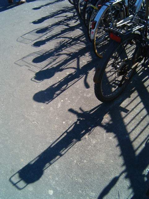 photo "Shade." tags: misc., 