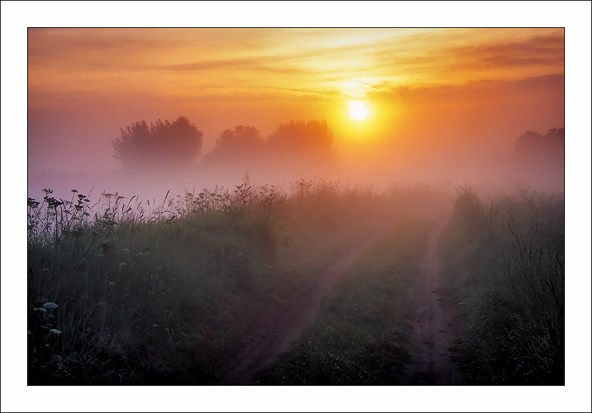 photo "Morning foggy..." tags: landscape, summer, sunset