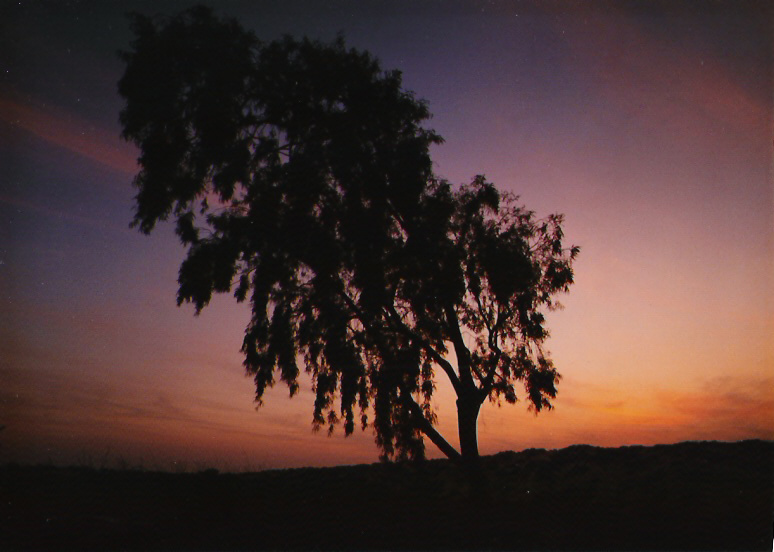 photo "Twilight" tags: landscape, sunset