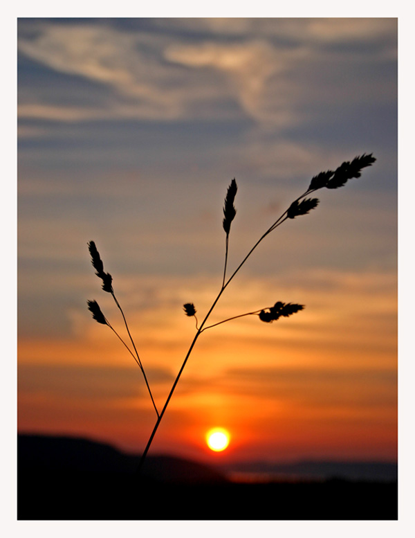 фото "Summer night sunset" метки: пейзаж, закат