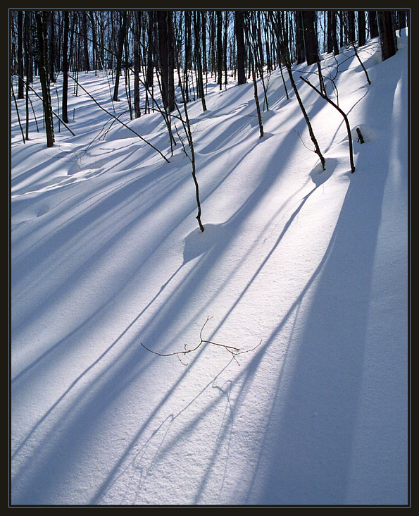 photo "Snow and shadow (2)" tags: landscape, forest, winter