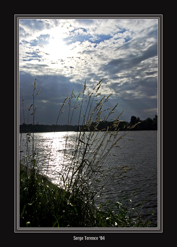 photo "Silver shine." tags: landscape, nature, flowers, water