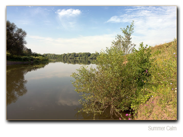 photo "Summer calm" tags: landscape, summer, water