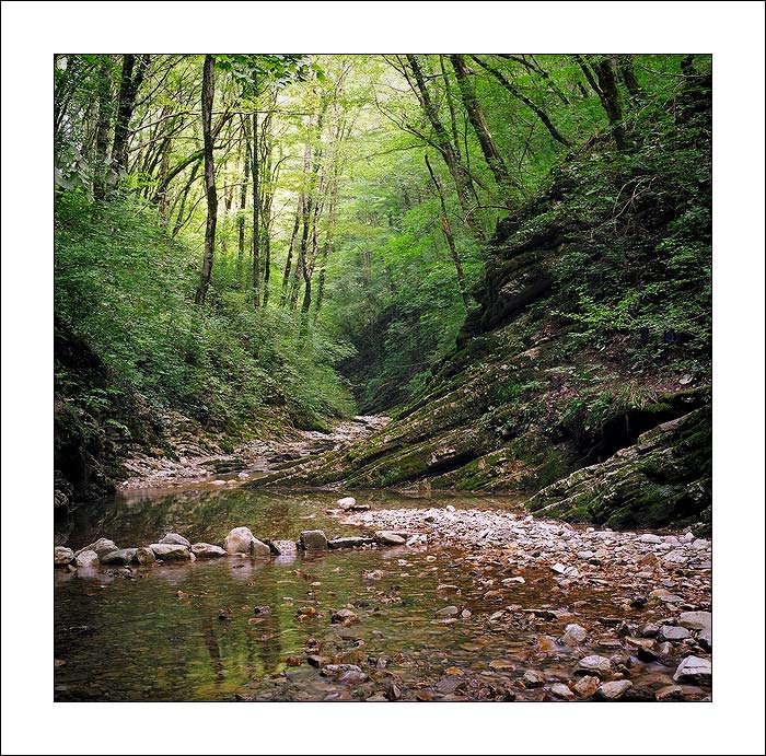 photo "Gorge" tags: landscape, forest, mountains