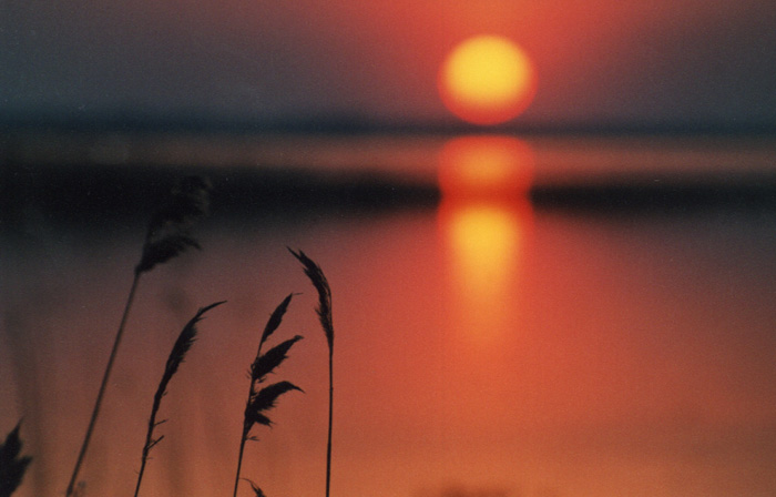 photo "Untitled photo" tags: misc., 