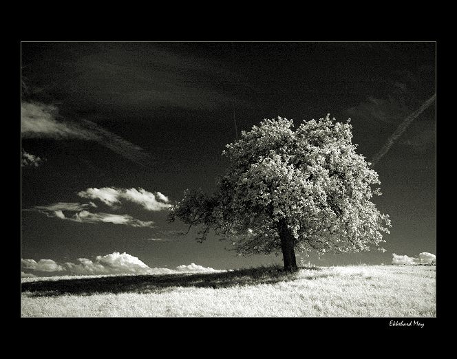 photo "song of nature" tags: landscape, autumn, summer