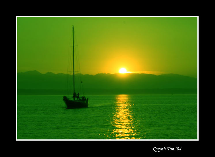 photo "Green Sunset" tags: landscape, summer, sunset