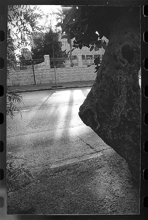 фото "s-tree-t" метки: разное, 