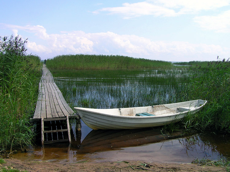 photo ""Ladoga"" tags: landscape, water