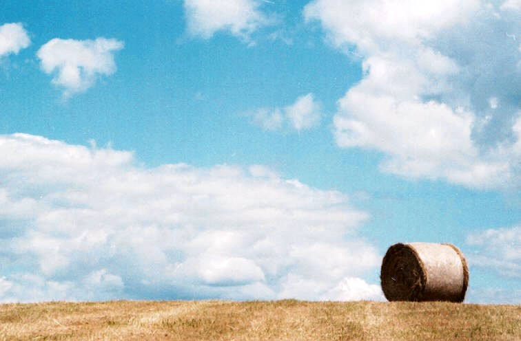 photo "Sky" tags: landscape, clouds