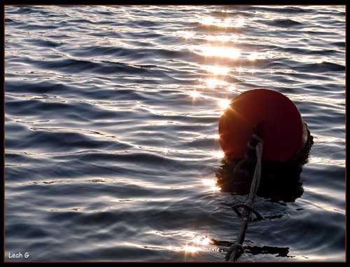 photo ""Buoy"" tags: misc., genre, 