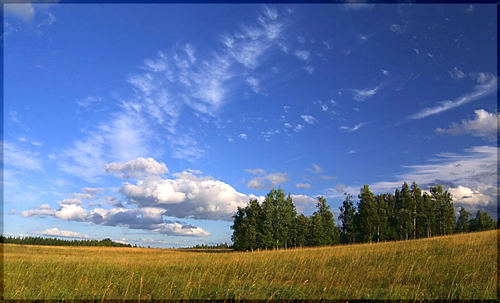 photo "Untitled photo" tags: landscape, clouds, summer