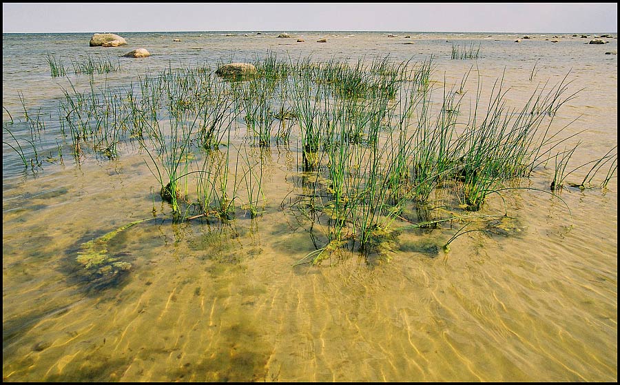 фото "МЕЛКОВОДЬЕ" метки: пейзаж, вода