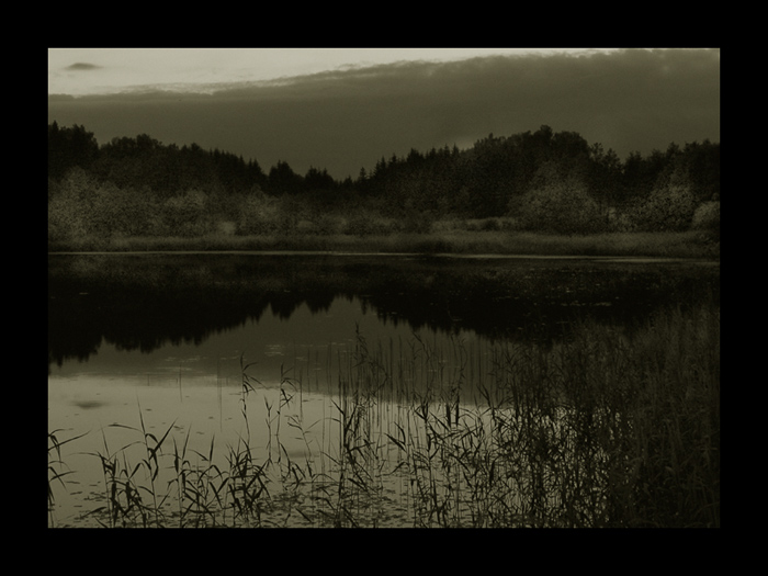 photo "Rominter Heide" tags: landscape, black&white, water