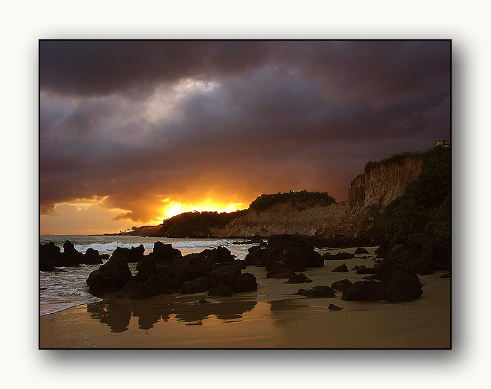 photo "Cotuvelo`s Beach" tags: nature, flowers