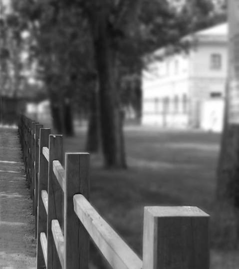 photo "Just a Fence" tags: black&white, misc., 