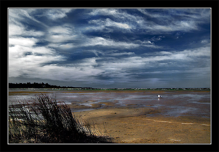 photo "On the lonely beach" tags: landscape, clouds, summer