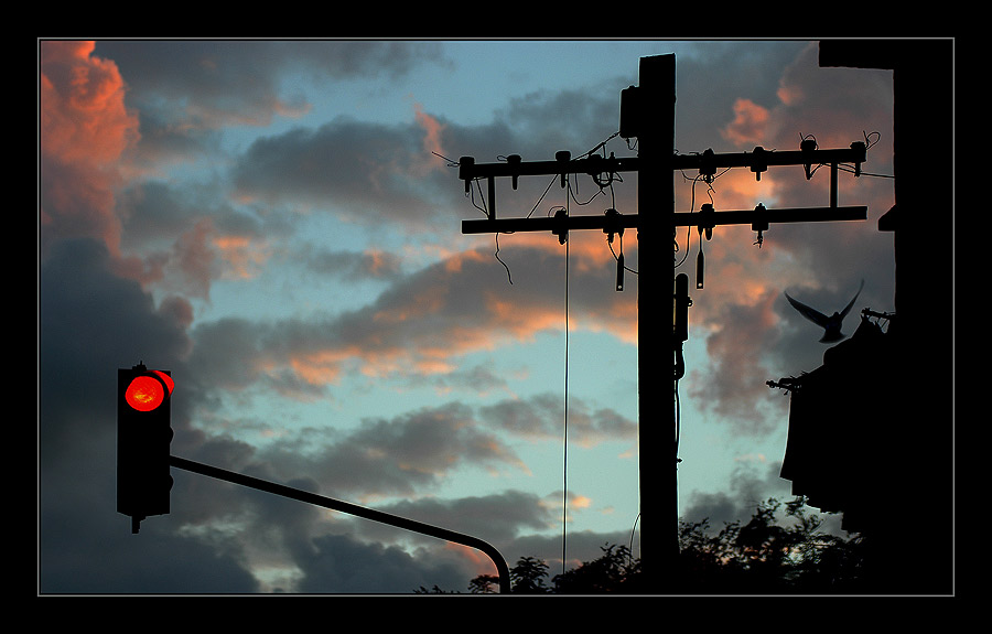 photo "Traffic light and.....Evening Flight" tags: architecture, landscape, sunset