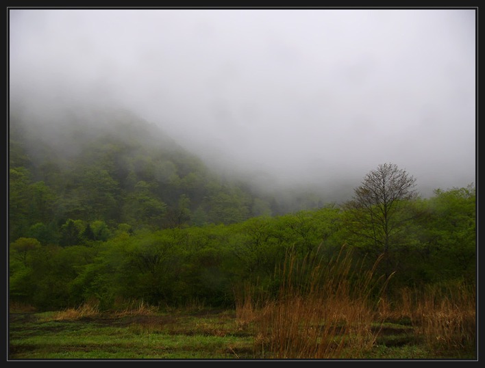 photo "rain in the mountains" tags: landscape, forest, mountains