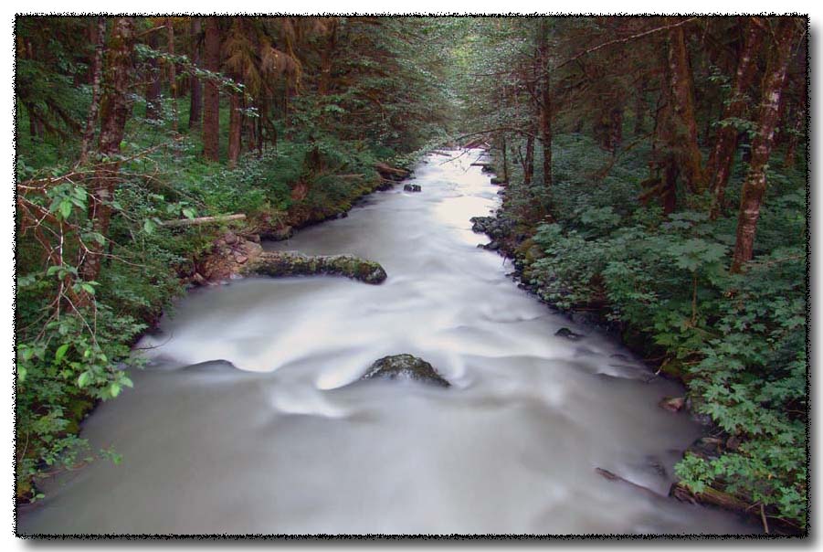 фото "Dreaming in Silver" метки: пейзаж, вода, лес