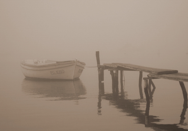photo "In Fog" tags: black&white, 