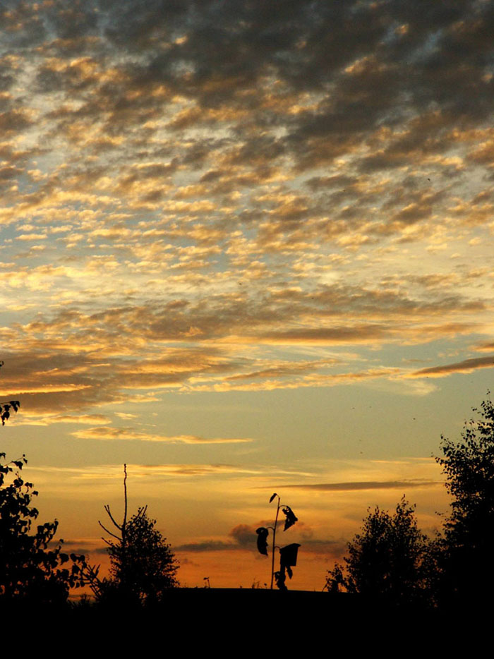 photo "Always the sky" tags: landscape, clouds, summer