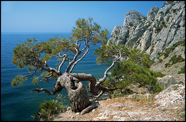 фото "на скалах Караул-Оба..." метки: пейзаж, вода, горы