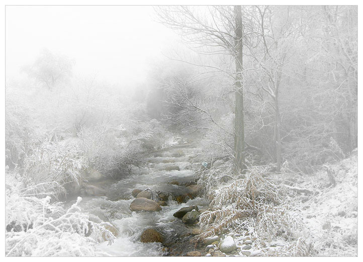 фото "Ностальгия по зиме: сквозь туман." метки: пейзаж, зима