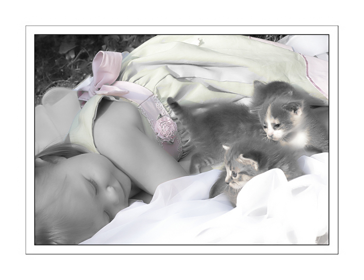 photo "Cat Nap" tags: portrait, nature, children, pets/farm animals