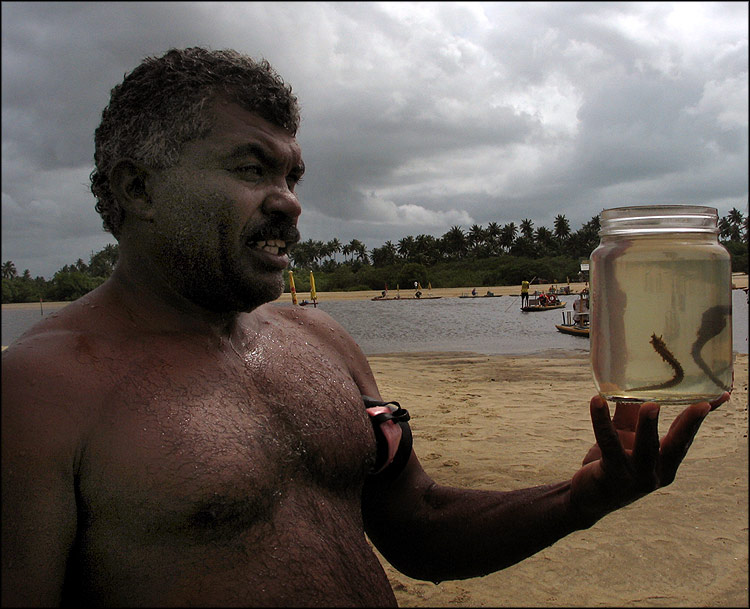 photo "Catching sea horses" tags: travel, reporting, South America