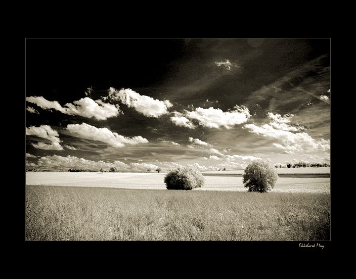 photo "aeolian harp" tags: landscape, clouds, summer