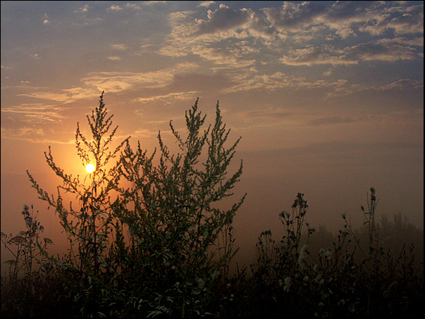 photo "Untitled photo" tags: landscape, sunset