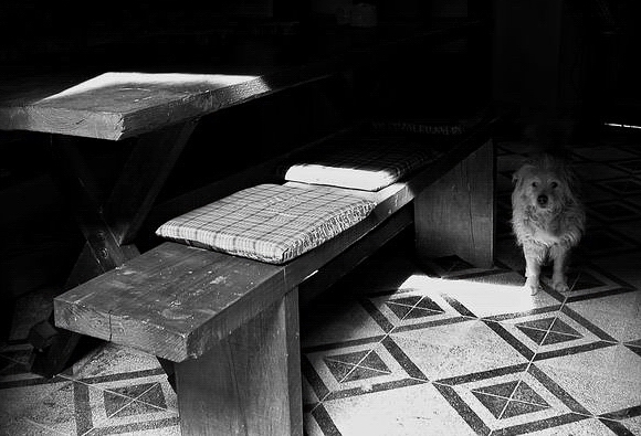 photo "Solitaire #2" tags: black&white, 