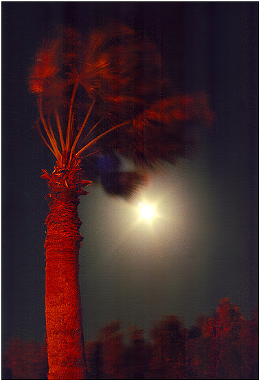 фото "Полнолуние в Египте" метки: пейзаж, путешествия, Африка, ночь