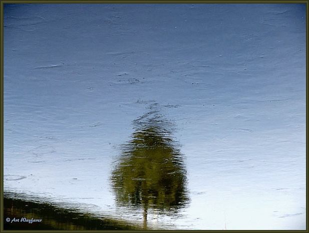 фото "Reflection (other side...)" метки: пейзаж, вода