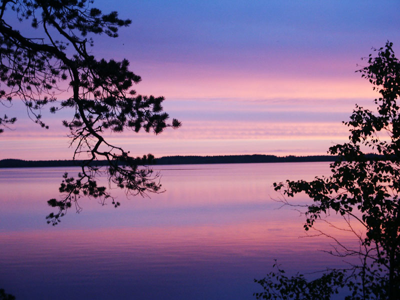 photo "Reflection" tags: landscape, summer, water