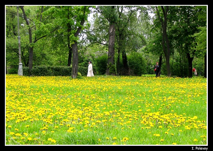 фото "Весна в парке" метки: пейзаж, 