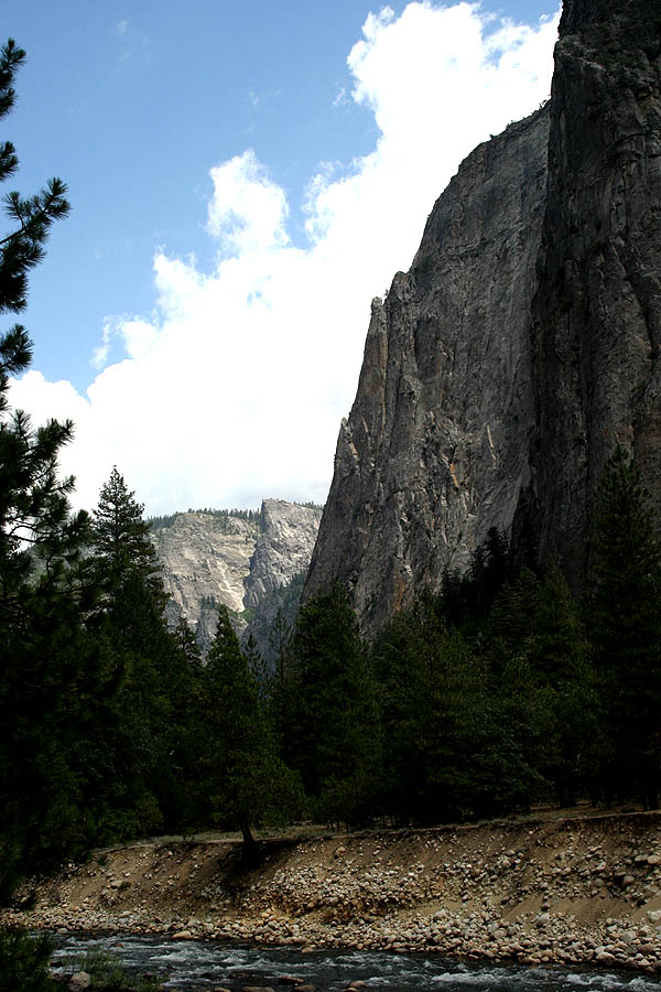 photo "Yosemite Valley View" tags: landscape, forest, mountains