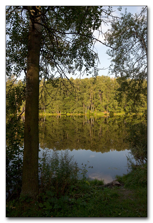 photo "Evening at the river" tags: landscape, forest, water