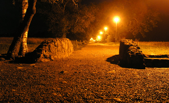 photo "Evening walk..." tags: landscape, night