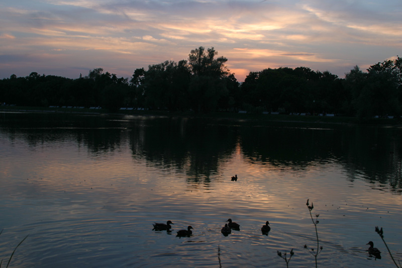 photo "Gathering to sleep" tags: landscape, sunset, water