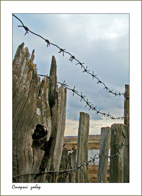 фото "Old fence" метки: разное, жанр, 