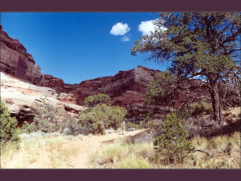 photo "American sceneries (2)" tags: travel, North America
