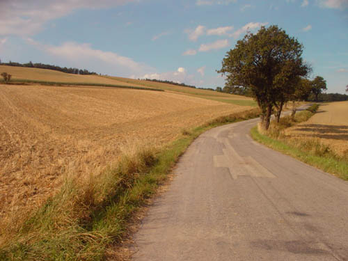 photo "The way" tags: landscape, summer