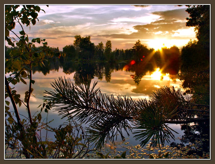 photo "Landscape with two suns and pine" tags: landscape, sunset, water