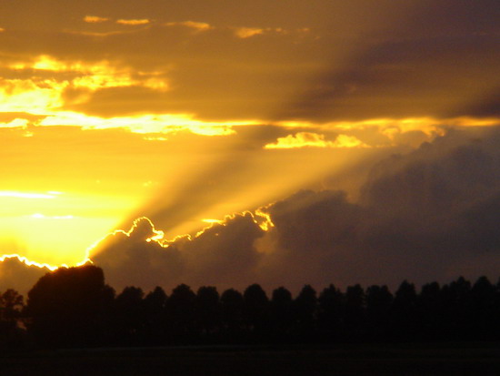 фото "sky above Baarland" метки: природа, 