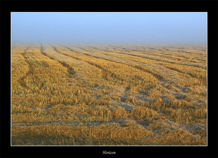 photo "Horizon" tags: misc., landscape, autumn
