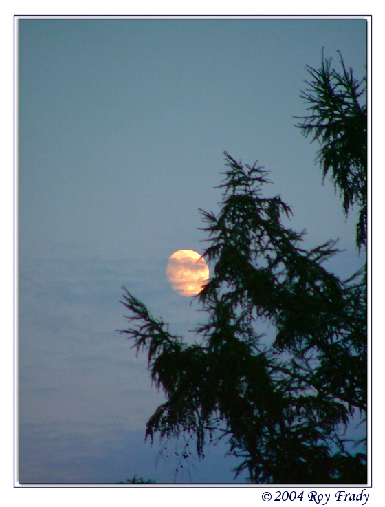 photo "Slowly the moon rises" tags: landscape, night